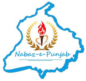 nabaz-e-punjab.com