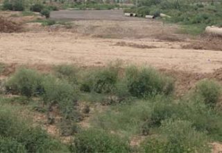 nabaz-e-punjab.com