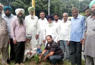 nabaz-e-punjab.com