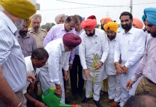 nabaz-e-punjab.com
