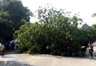 nabaz-e-punjab.com
