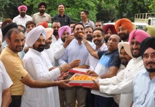 nabaz-e-punjab.com