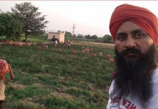 nabaz-e-punjab.com