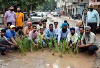 nabaz-e-punjab.com