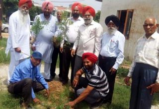 nabaz-e-punjab.com