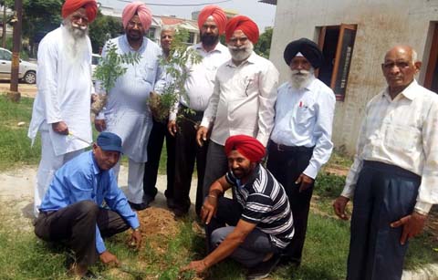nabaz-e-punjab.com