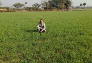 Nabaz-e-punjab.com