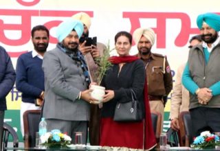 NAbazepunjab.com