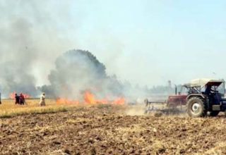 Nabaz-e-punjab.com